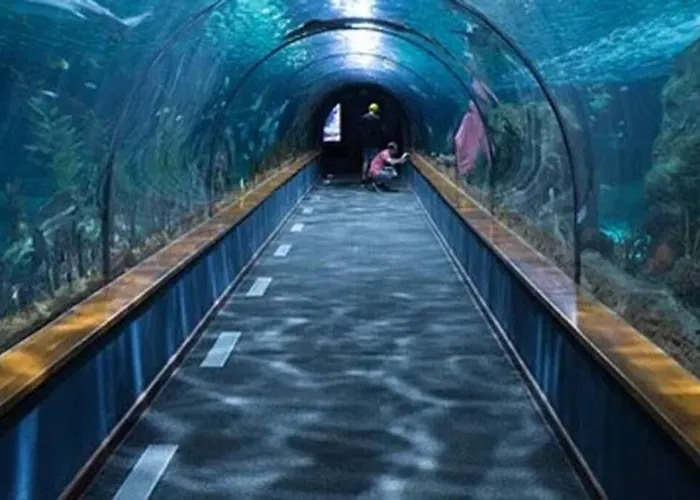 Nueva Terraza Playa San Lorenzo Apartment