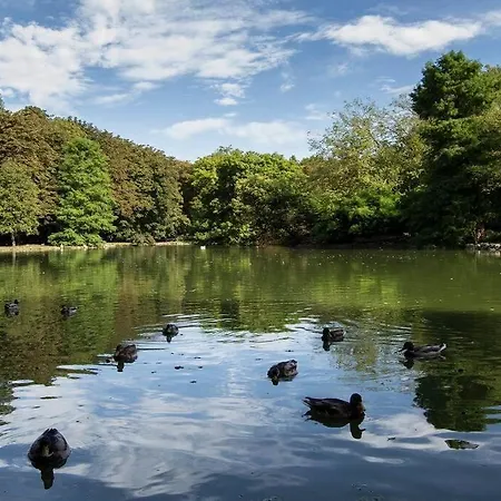 Nueva Terraza Playa San Lorenzo * Gijón